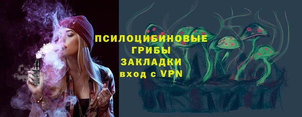 гашик Карталы