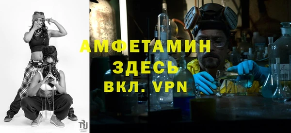 молекула духа Александровское