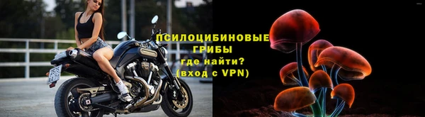 a pvp Каменка