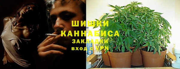 ГАЛЛЮЦИНОГЕННЫЕ ГРИБЫ Каменногорск