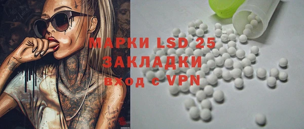 a pvp Каменка