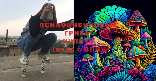 молекула духа Александровское